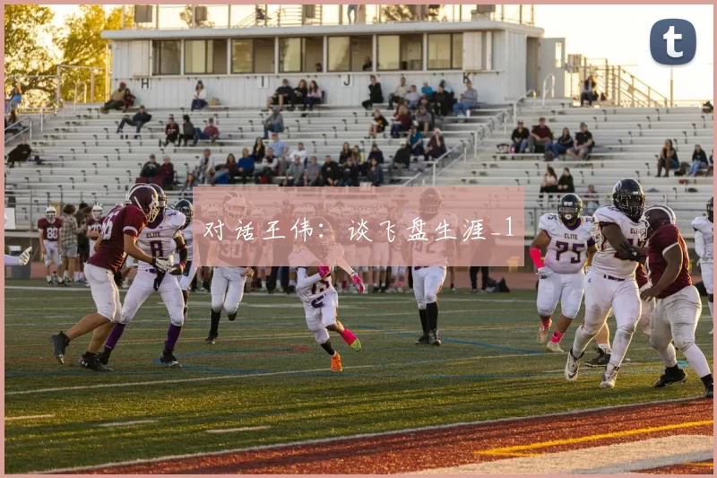 对话王伟：谈飞盘生涯_1