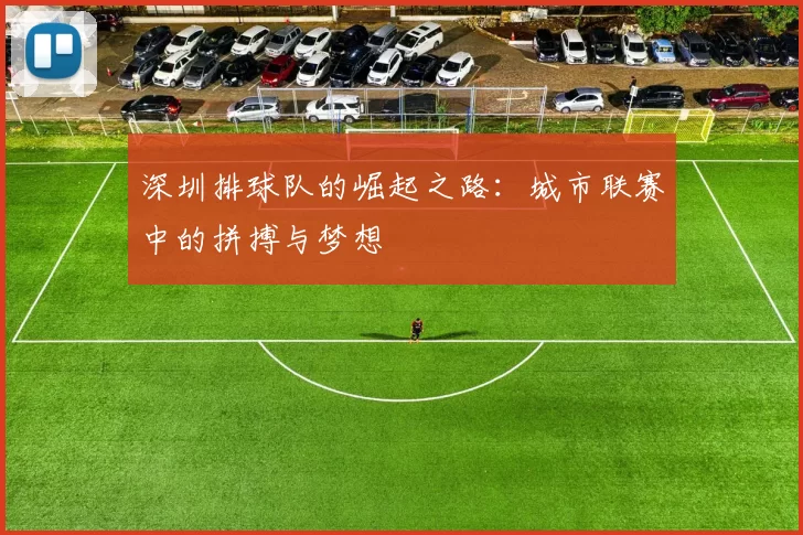 深圳排球队的崛起之路：城市联赛中的拼搏与梦想