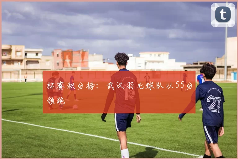 杯赛积分榜：武汉羽毛球队以55分领跑