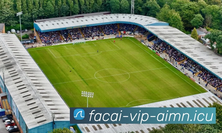 爱游戏体育品牌故事