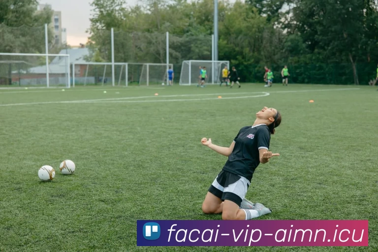 爱游戏体育服务体系